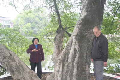 客家山歌（松口客家山歌） 第 4 张