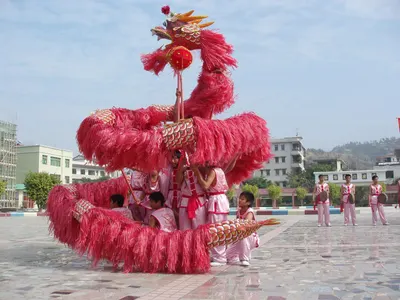 龙舞（花环龙） 第 3 张
