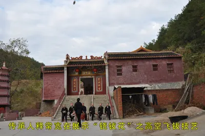 铙钹花 第 2 张