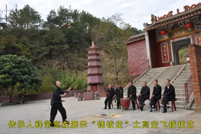 铙钹花 第 3 张