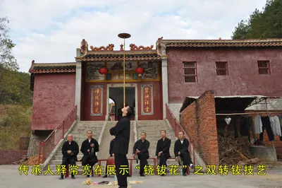 铙钹花 第 9 张