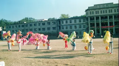 狮舞（青溪仔狮灯） 第 3 张