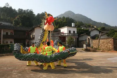 龙舞（青溪黑蛟龙灯舞） 第 4 张