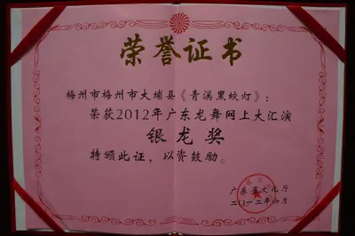 龙舞（青溪黑蛟龙灯舞） 第 7 张