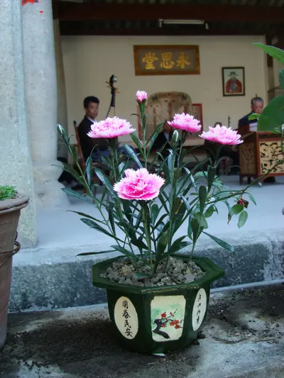 丰顺埔寨纸花技艺 第 5 张