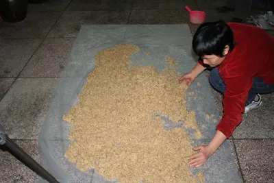 酿造酒传统酿造技艺（梅县客家娘酒酿造技艺） 第 12 张